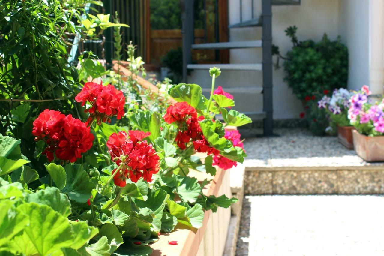 Raggio Di Sole Bed & Breakfast Macari Buitenkant foto